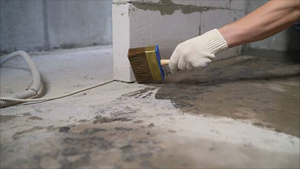 24/7 Emergency Interior Drainage System experts in Lakeville, MN